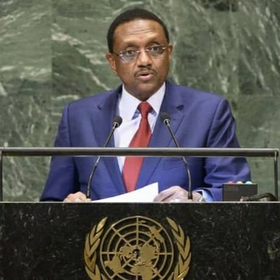 شريف محمد زين: وزير الخارجية اتشادي