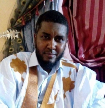 الأستاذ / إسماعيل موسى الشيخ سيدي