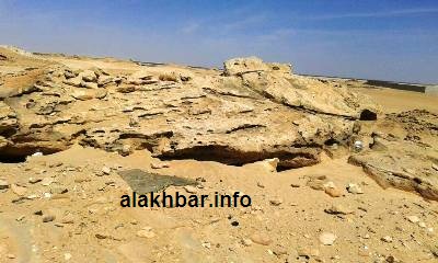 اتهم رئيس اتحاد المدرسين المعلوم أوبك المنطقة الحرة بعدم الجدية في استصلاح القطع الأرضية