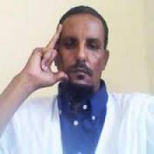 بقلم محمدُّ سالم ابن جدُّ