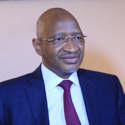 سومايلو بوباي مايغا: الوزير الأول المالي السابق