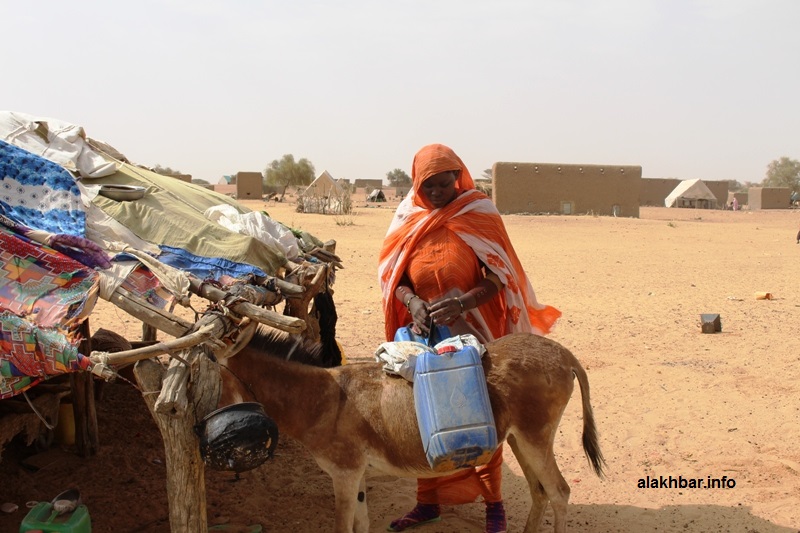 يعتمد سكان القرية على الحمير في جلب مياه الشرب، وفي التنقل بين القرى، وفي نقل المرضى إلى المراكز الصحية (الأخبار)