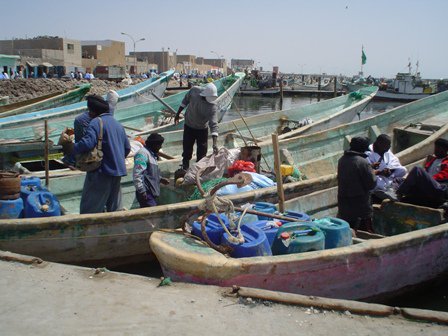 جانب من زوارق الصيد التقليدي / أرشيف الأخبار