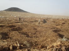 حمى التنقيب التي بدأت الصيف الماضي دفعت بعشرات الآلاف للمغامرة بحثا عن الذهب (الأخبار - أرشيف)