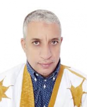 المختار ولد داهي، سفير سابق