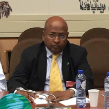 النائب البرلماني عن حزب الاتحاد من أجل الديمقراطية والتقدم UDP الدان أحمد عثمان