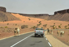 صورة استخدمها أحد المدونين في الحملة الداعمة للموسم السياحي الموريتاني