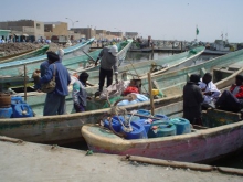جانب من زوارق الصيد التقليدي / أرشيف الأخبار